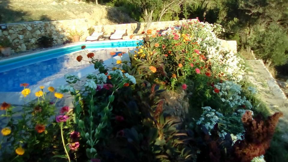 Villa Mora Banjol 외부 사진