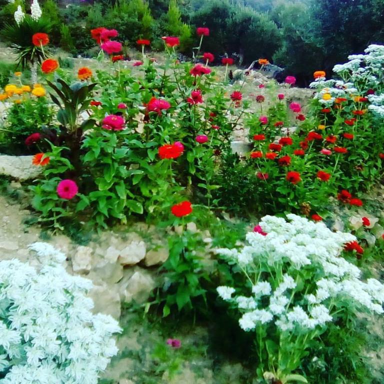 Villa Mora Banjol 외부 사진